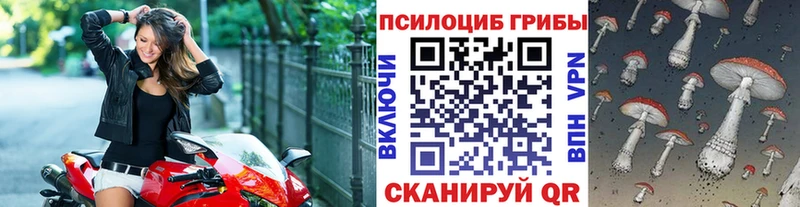 Купить закладки  Протвино  Галлюциногенные грибы MAGIC MUSHROOMS 